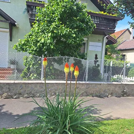 Vendégház Rohonci *