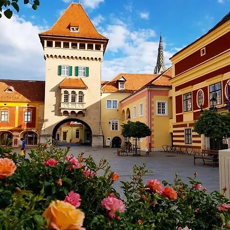 Rohonci Vendeghaz بيت ضيافة Kőszeg